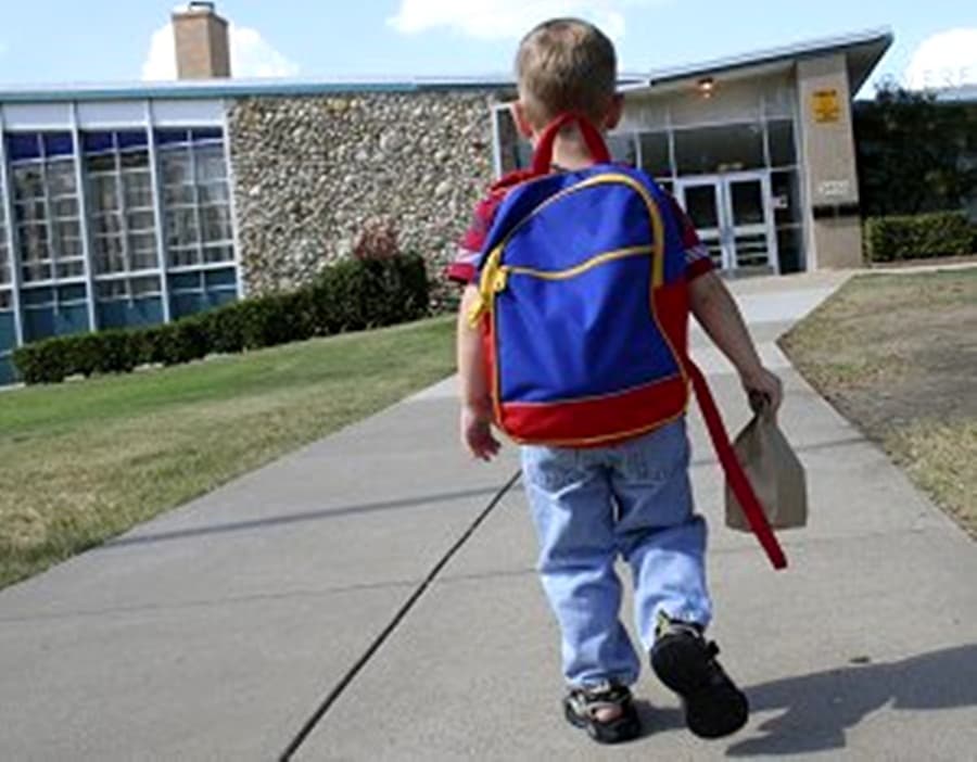 Not Impressed: This Canine Pair Do Not Agree With The Fact That Their Friend Has To Go To School