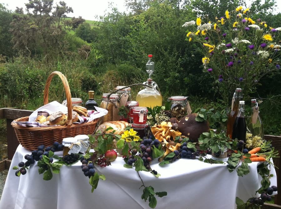 Calling All Foodies: Want a Wild & Slow Weekend?