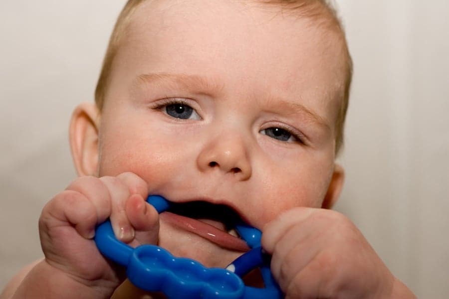 The First Cut is the Deepest – Evanne Ní Chuilinn on a Baby with Bite