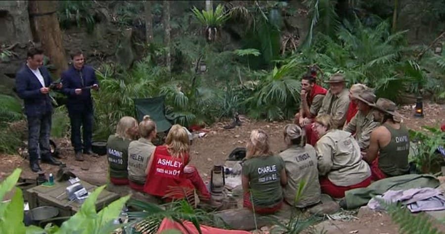 Let The Evictions Commence!  MP Nadine Dorries Loses Her Seat On I’m A Celebrity