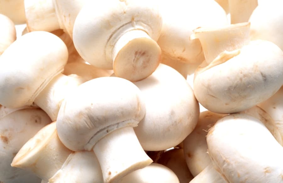 There’s Something About Mushrooms: Sales Soar As The On-Trend Veg Hits Dinner Tables Nationwide