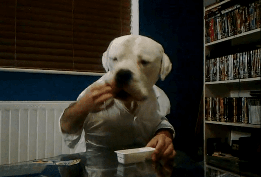 Bizzle The Dog Gets Dunking: A Dog, A Pack Of Dairylea Dunkers And An Owner With A Sense Of Humour