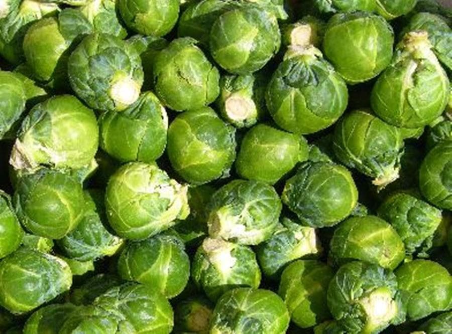 We Knew There Was a Reason We Didn’t Like Sprouts!