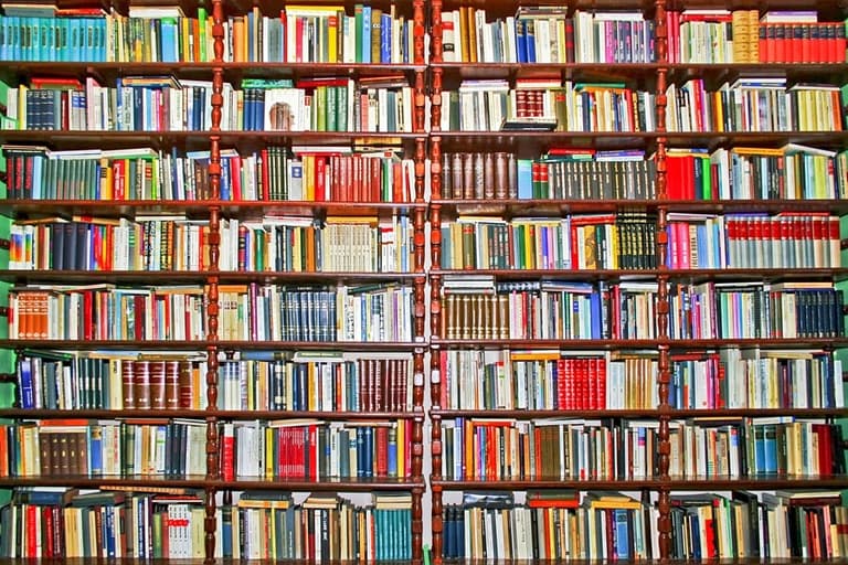 Her Favourites: Her.ie Readers Name Their Favourite Books on #WorldBookDay