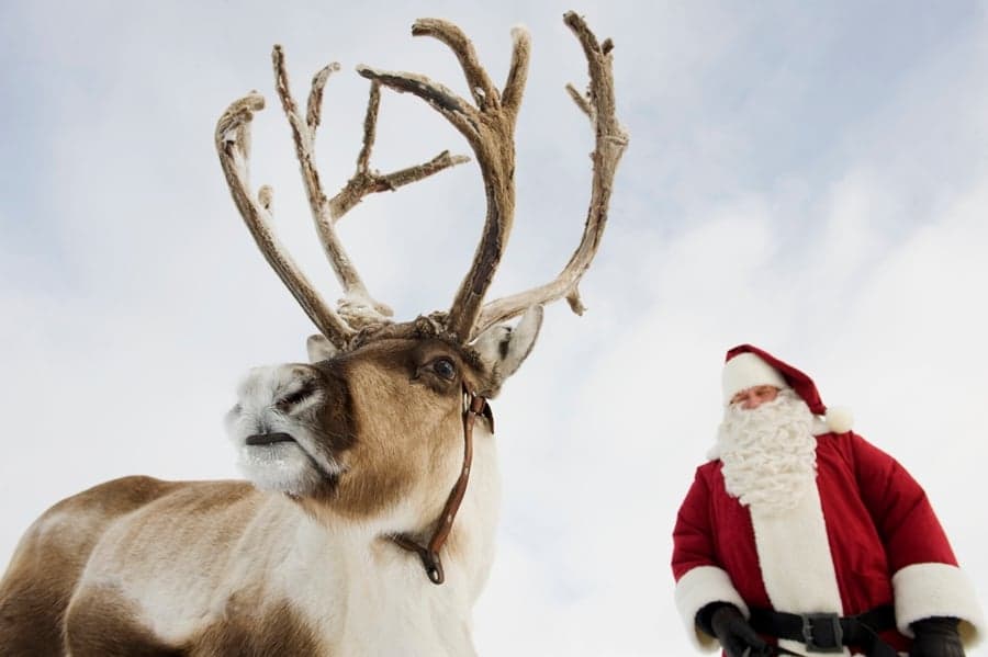 Reindeers Revolt! Santa Gets Attacked in Temple Bar