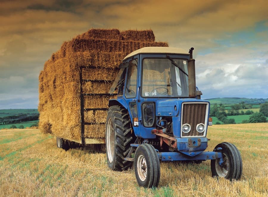 Farmer Style! One of the Biggest Hits of 2012 Gets Culchie Makeover