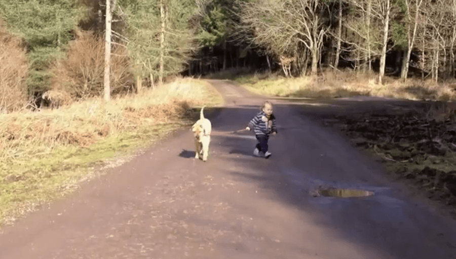 A Dog Is A Toddler’s Best Friend… And They Know The Importance Of A Puddle