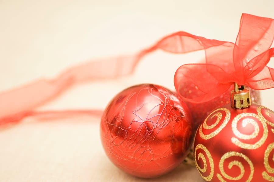 Step Away From The Roses: The Post-Christmas Survival Guide