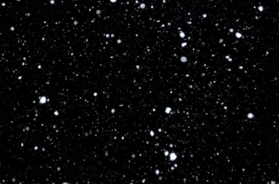 Shiver Me Timbers: The Top 10 Snow Films to Warm You Up