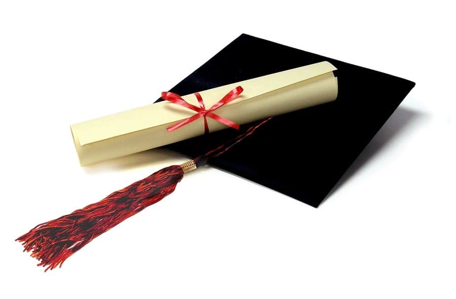 From the Jungle to the Classroom: Star Wants Degree