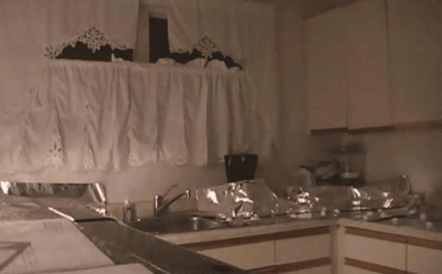VIDEO: A Simple Solution To An Everyday Problem: How To Keep The Cats Off The Counter