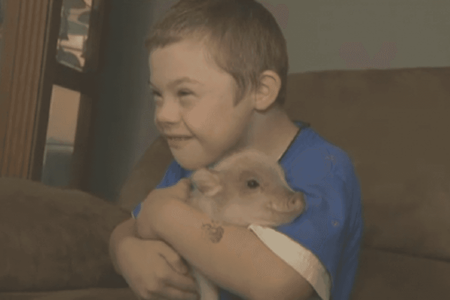 Prescription For A Pig: Boy Allowed to Keep Beloved Pet Thanks To a Kind-Hearted Doctor
