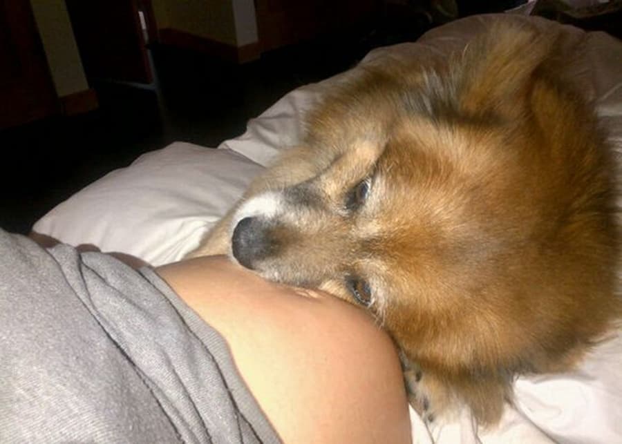 P-Awww: Star Shares Adorable Baby Bump Snap on Twitter
