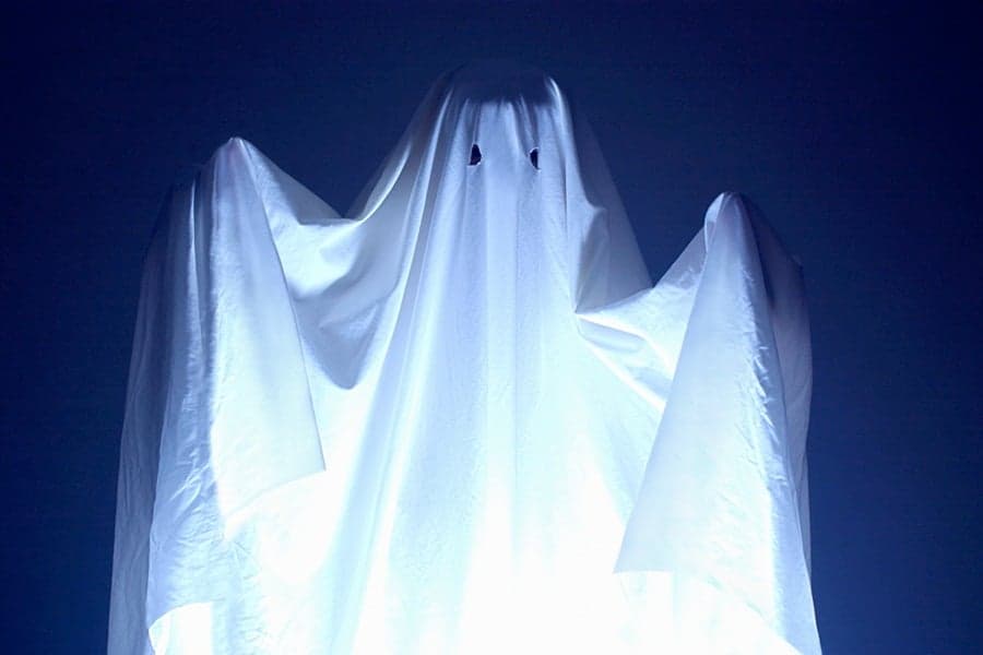 Paranormal Activity: Woman Claims a Ghost Stole Her CV