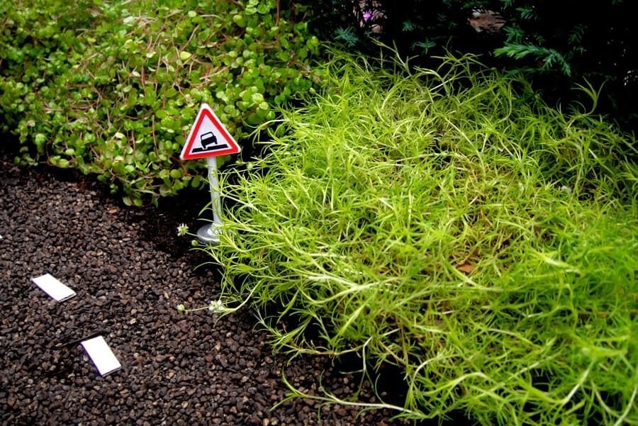 Giant Pothole? Grab A Camera And A Towel, Here’s How One Young Corkman Solved The Problem