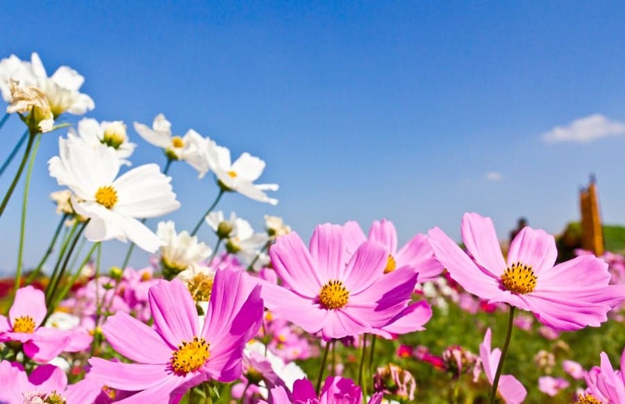 Longer Days, More Sunshine & Easter Eggs: Reasons Why We Love Spring