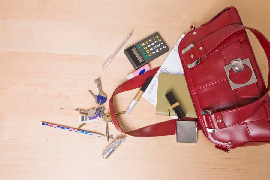 Bags of Luck: Woman Reunited With Handbag After It Was Stolen 7 Years Ago