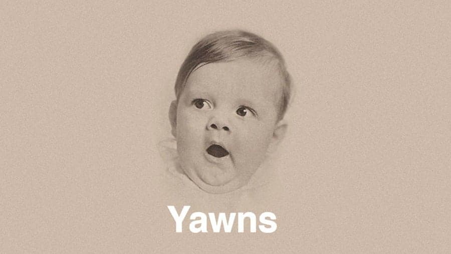 A Personal Challenge: Try And Watch This Video Without Yawning…