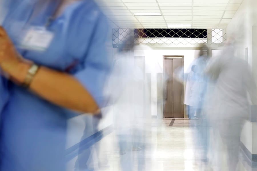 Horror As Fox Attacks One-Month-Old Baby In Cot At Home