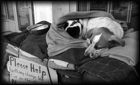 Do the Right Thing! Charities Who Need Your Help during this Cold Snap