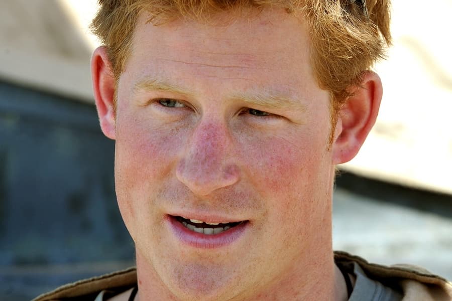 Has Prince Harry Bagged Himself a Pussycat Doll?!