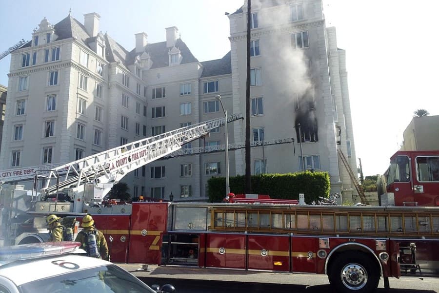 Twilight Star Inconsolable As Dog Dies In Blaze At Hollywood Apartment