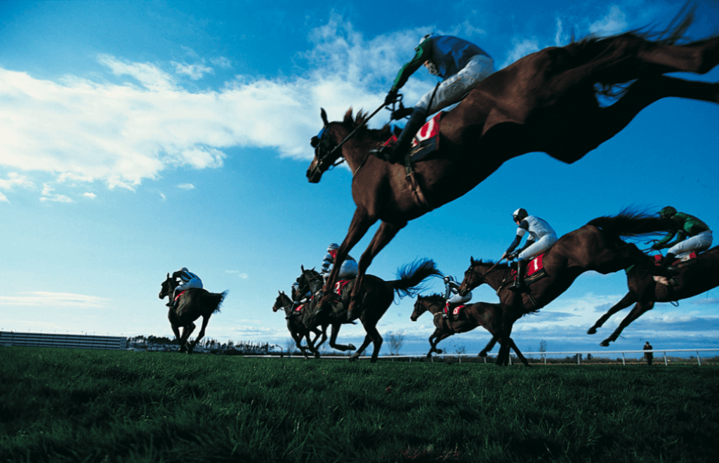 Novice on the Course? Six Tips for Cheltenham