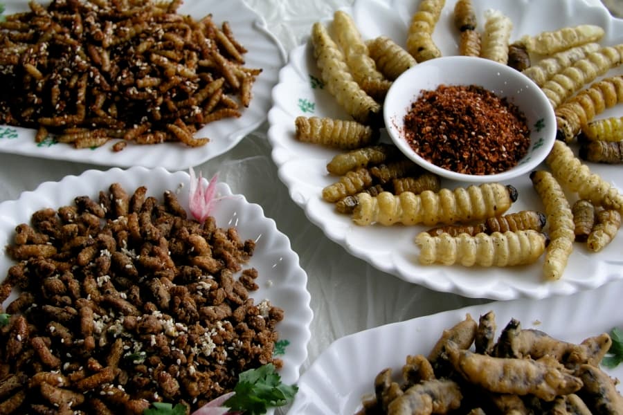 Pest de Resistance – Creepy-Crawly Festival To Promote Eating Insects