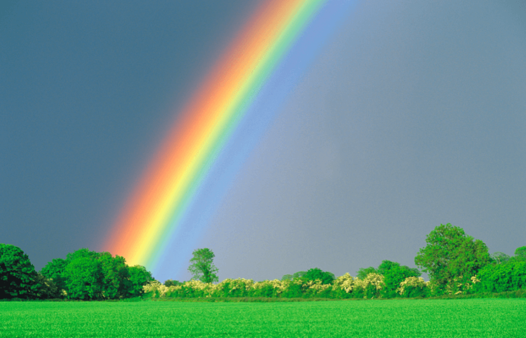 Her.ie Turns Green to ‘Irish It Up’ with 7UP Free