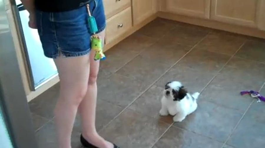 Think You’ve Seen the Cutest Thing Ever? Think Again!