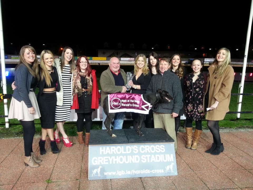 Off to the Races! Her.ie Goes Barking Mad at Harold’s Cross Greyhound Stadium with the Irish Greyhound Board