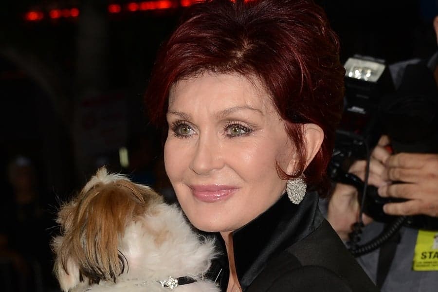 She’s Back: Sharon to Return As Highest-Paid Judge