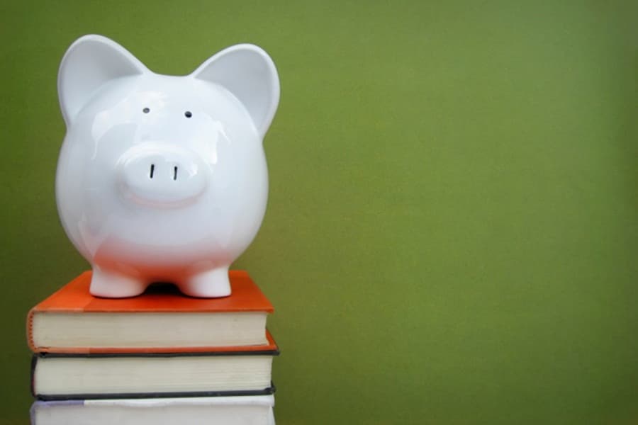 Struggling With Your Finances? The Irish Government Has Some Ridiculous Guidelines For You