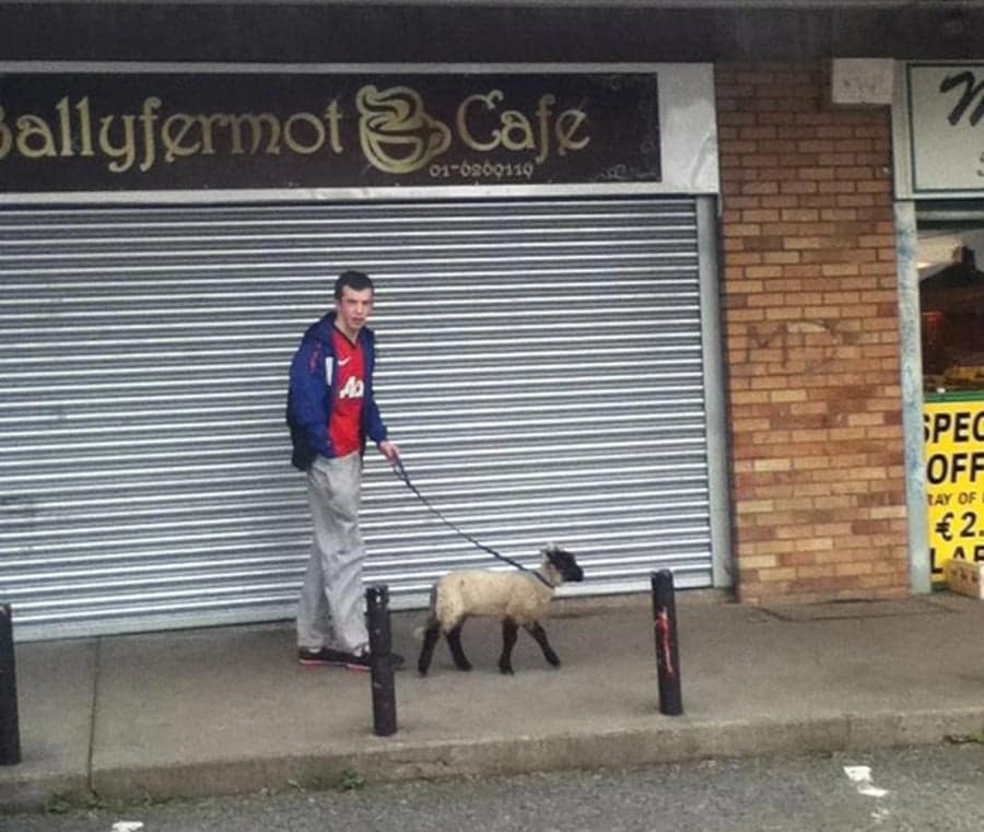 Spotted In Ballyfermot Today… Are We Seeing Straight?