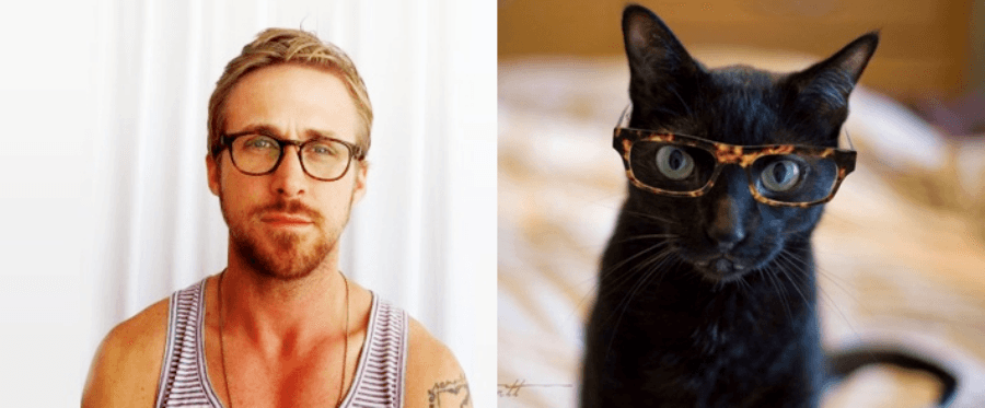 Could This Be THE Best Blog Ever? Let Us Present Des Hommes Et Des Chatons…