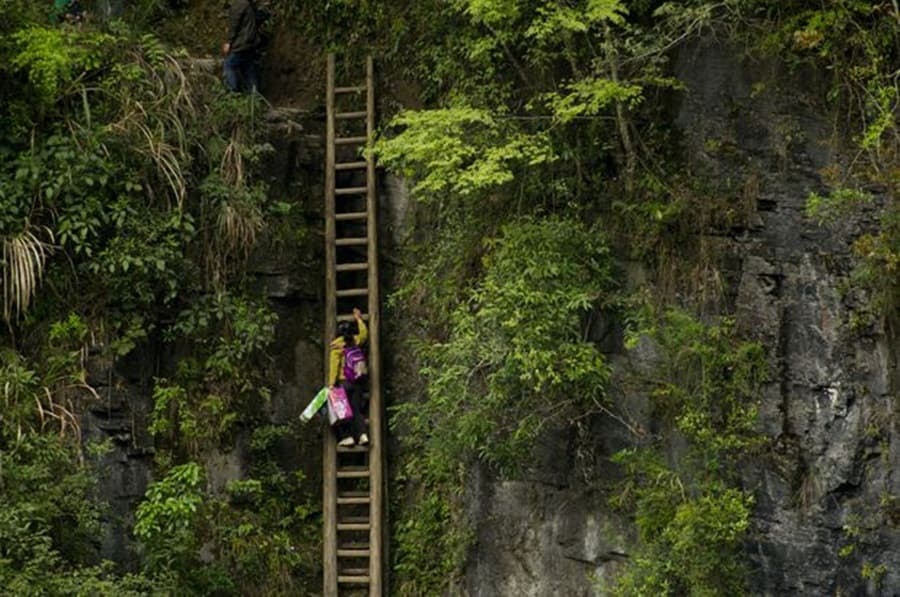 Is That Ladder Safe? The Most Terrifying School Commute You’ll Ever See…