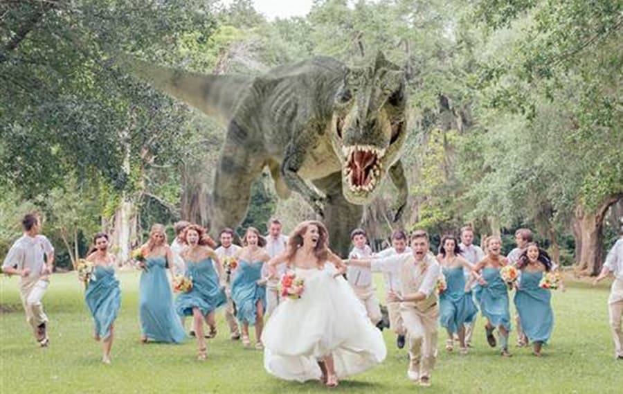 PICTURE: Ahhhh!! T-Rex!!! The Best Wedding Photo Ever