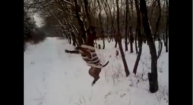 VIDEO: This Dog Really Wants That Branch – Pitbull Literally Will Not Let Go