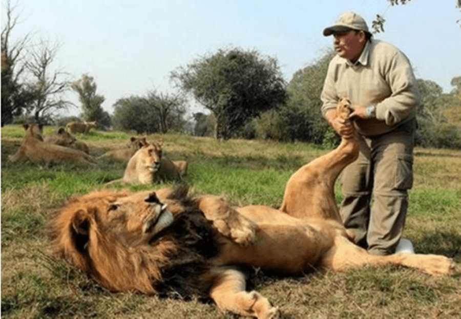 This Week’s Top Five Celebland Tweets: Baby News, Men With PMS And A Different Kind Of #Lions2013