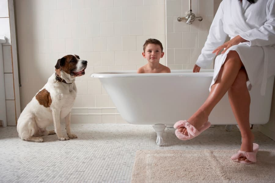 Irish People Spend Less Time In The Bathroom Every Morning Than Our European Counterparts