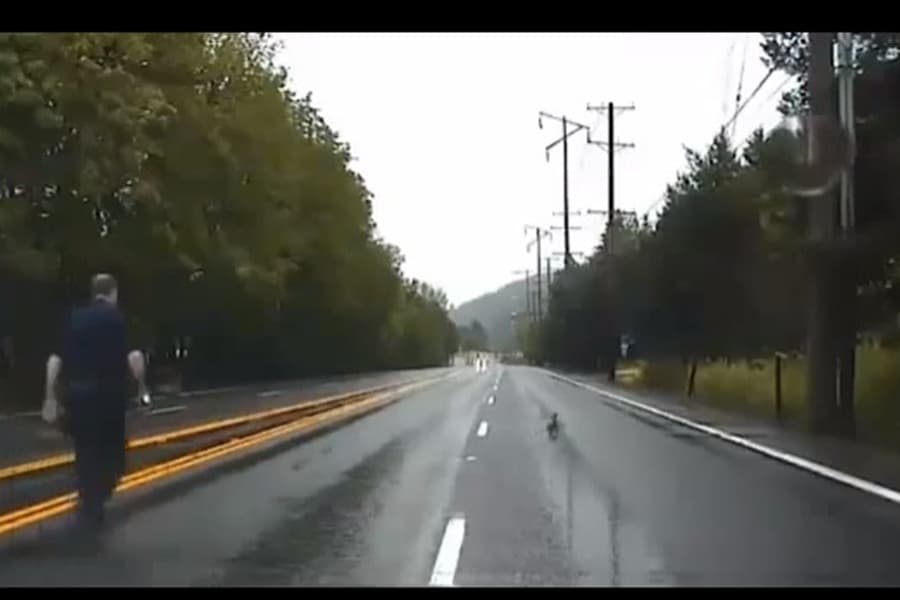 Stop! Ducks Are Trying To Cross The Road! The Nicest Police Officer EVER