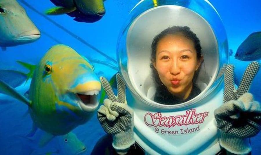 You Call That A Smile? THIS IS A Smile! Gavin The Photobombing Fish Becomes An Internet Celebrity