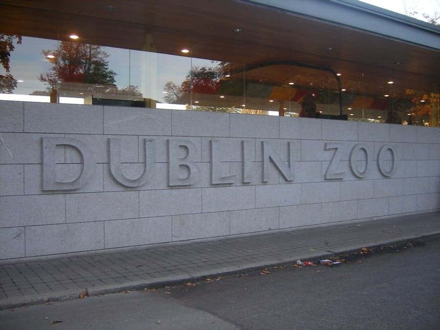 PICTURES: Dublin Zoo Says It As It Is…