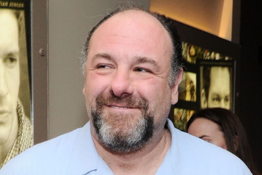 Sopranos Star James Gandolfini Dies Suddenly Aged 51