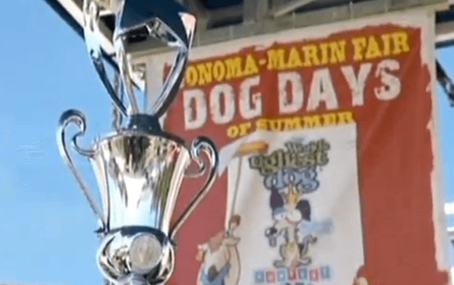 This Year’s World’s Ugliest Dog Has Been Revealed!