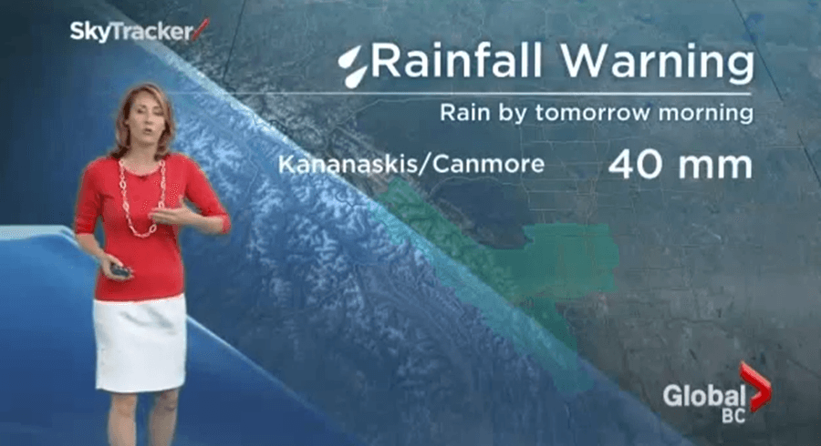 VIDEO: The Biggest Spider Ever?! Creepy Crawlie Catches Weather Forecaster Off-Guard