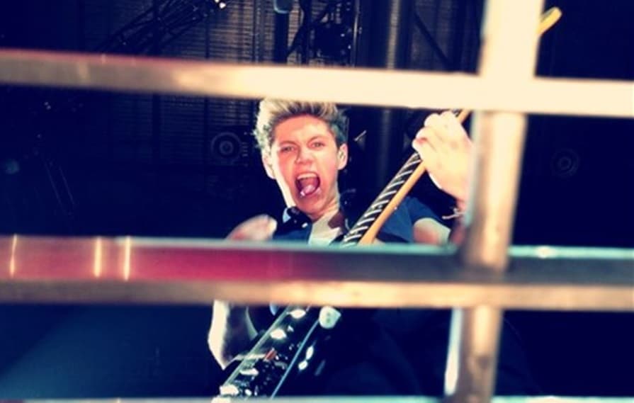 “Stalked Out Of It”: Niall Horan Tweets His Fame Frustration
