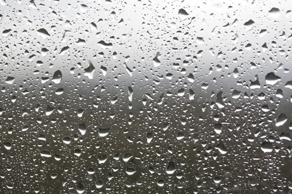 No Luck for Ladies Day! Rain Set to Pour Down for the Coming Week