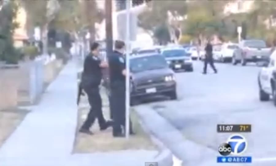 VIDEO: Warning, Sensitive Viewing: Uproar As Video Shows Police Office Shooting Dog