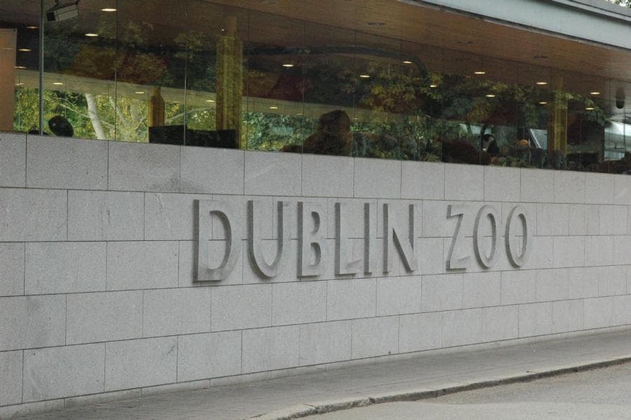 Dublin Zoo Hosts Kellogg’s Coco Pops Monkey Moments This Weekend